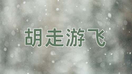 成语胡走游飞