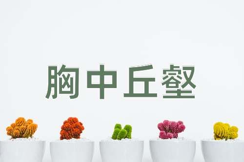 成语胸中丘壑