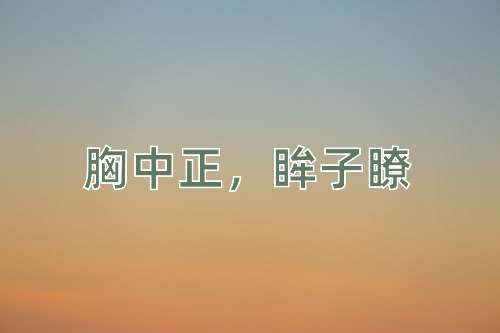 成语胸中正，眸子瞭