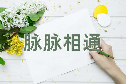 成语脉脉相通