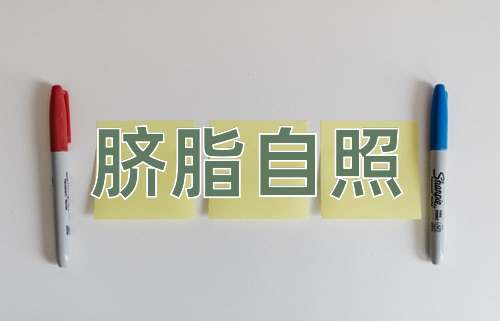 成语脐脂自照