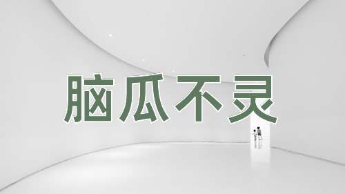 成语脑瓜不灵