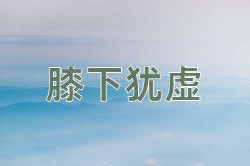 成语膝下犹虚