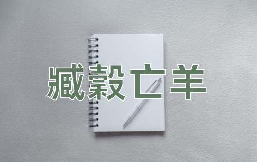 成语臧穀亡羊