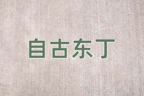 成语自古东丁