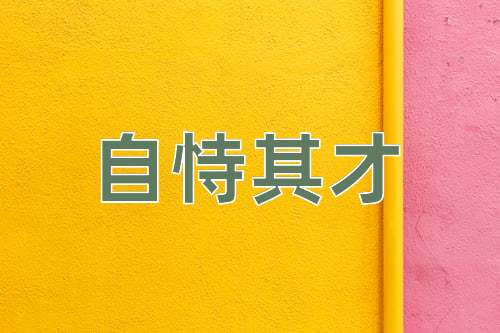 成语自恃其才
