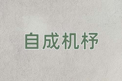 成语自成机杼