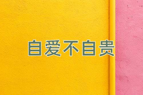 成语自爱不自贵