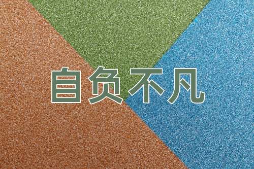 成语自负不凡