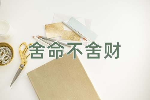 成语舍命不舍财