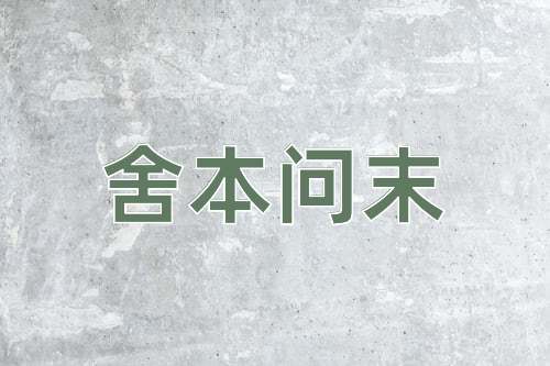 成语舍本问末