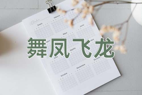 成语舞凤飞龙