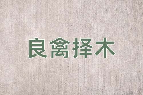 成语良禽择木