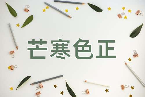 成语芒寒色正