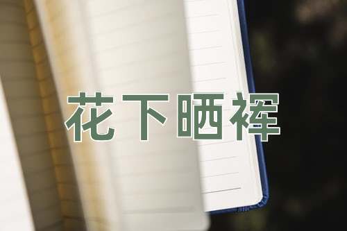 成语花下晒裈