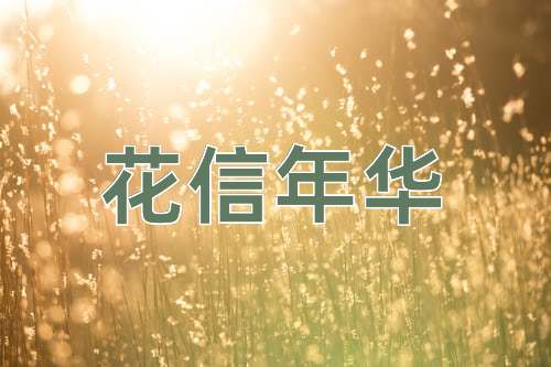成语花信年华
