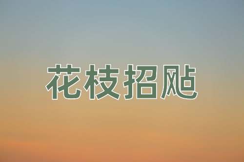 成语花枝招飐