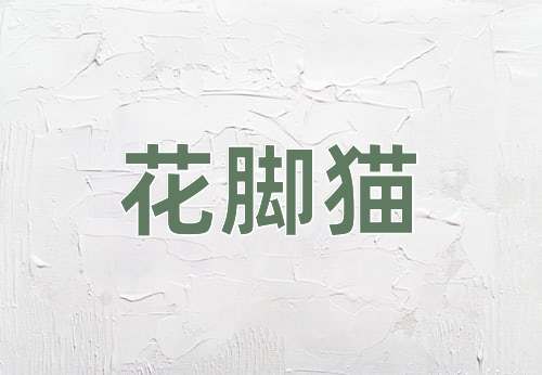 成语花脚猫