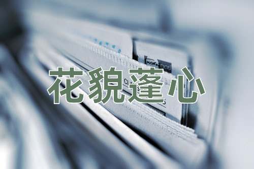 成语花貌蓬心