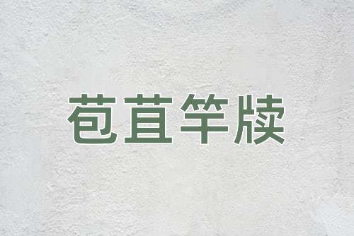 成语苞苴竿牍
