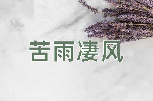 成语苦雨凄风