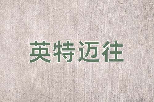 成语英特迈往