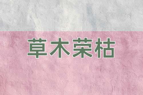 成语草木荣枯