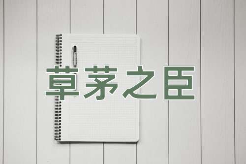 成语草茅之臣