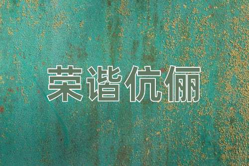 成语荣谐伉俪