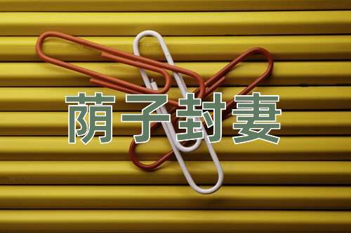 成语荫子封妻