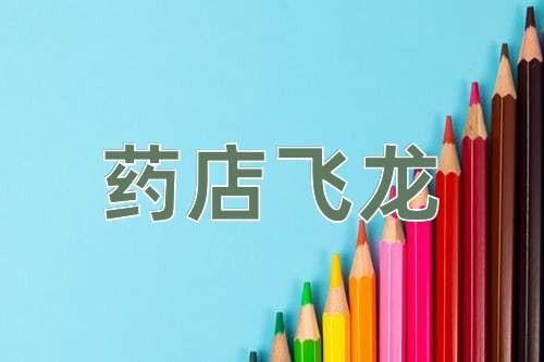 成语药店飞龙