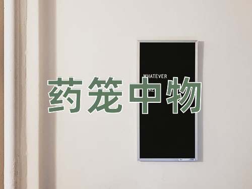 成语药笼中物