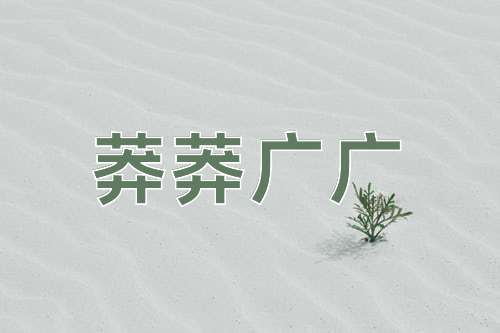 成语莽莽广广