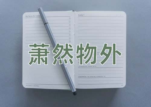 成语萧然物外