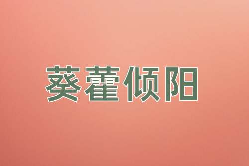 成语葵藿倾阳