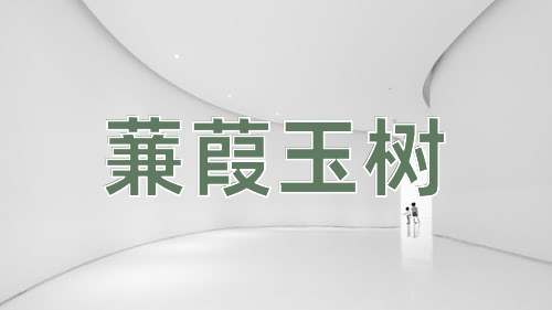 成语蒹葭玉树
