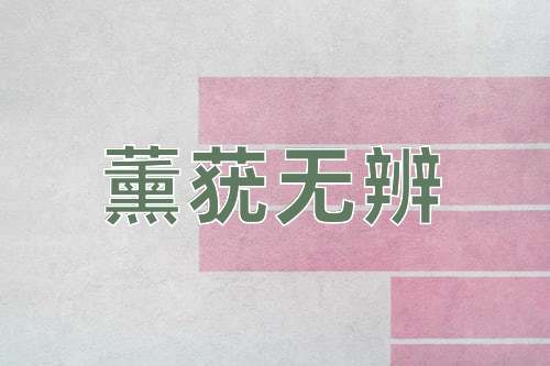 成语薰莸无辨