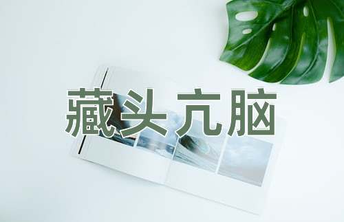 成语藏头亢脑