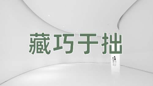 成语藏巧于拙