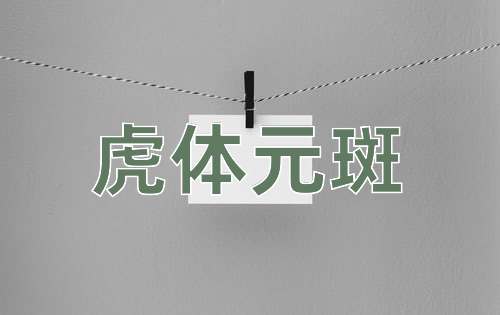 成语虎体元斑
