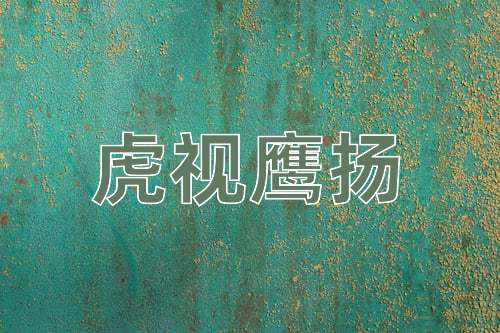 成语虎视鹰扬