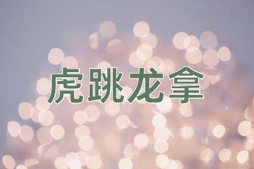 成语虎跳龙拿