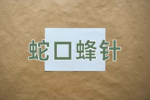 成语蛇口蜂针