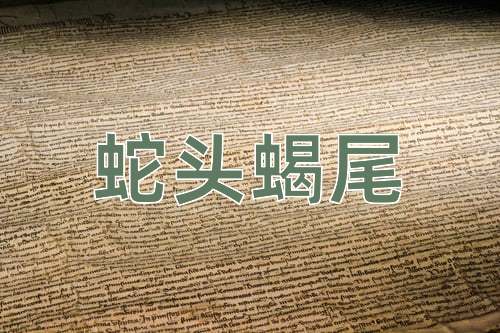 成语蛇头蝎尾