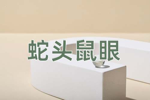成语蛇头鼠眼