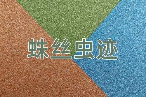 成语蛛丝虫迹