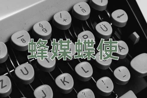 成语蜂媒蝶使