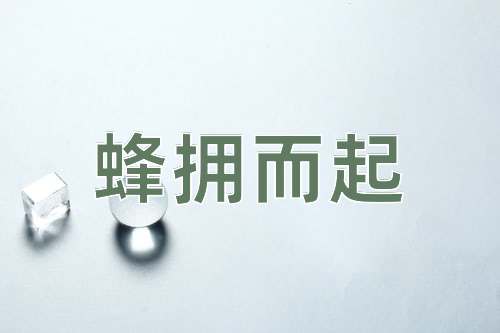成语蜂拥而起