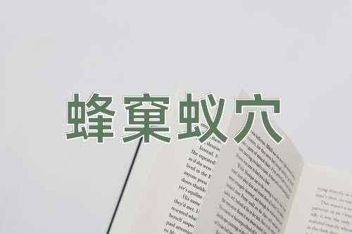 成语蜂窠蚁穴