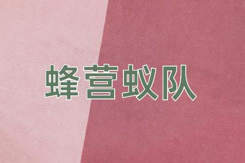 成语蜂营蚁队